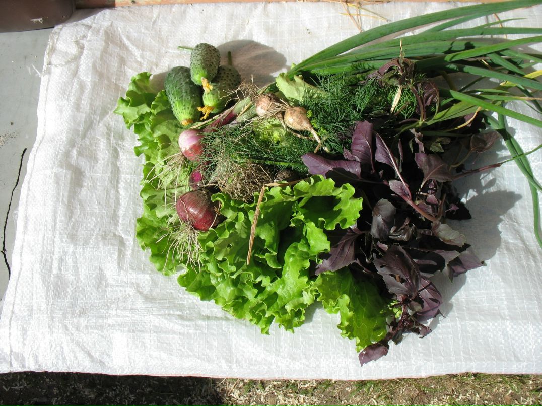 Константин Костин фотография #41