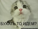 Фотография Тараканов Антон