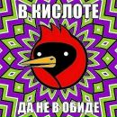 Фотография Пельш Александры