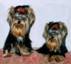 Ангеліна Огородник фотография #33 (источник - https://vk.com/id197054931)