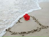 Фотография Kosichkina Natasha