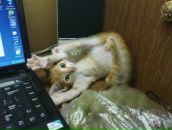 Фотография Багузовой Марины