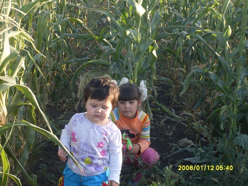 А Е П фотография #11