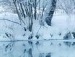 Вероніка Михайлевська фотография #49 (источник - https://vk.com/id139440599)