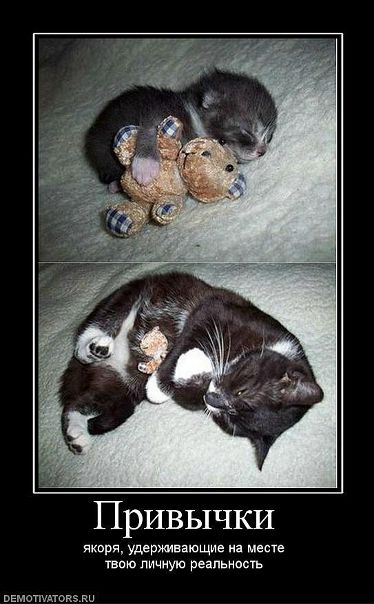 Александр Пенчук фото №35