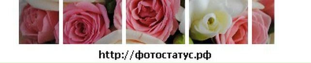 Іра Башинська фотография #42 (источник - https://vk.com/id25640680)