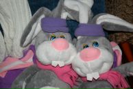 Фотография Гриценко Алины