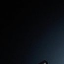 Міша Гуменюк фотография #26 (источник - https://vk.com/id43128661)