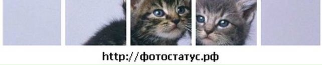 •dana• ** фотография #14 (источник - https://vk.com/id111639181)