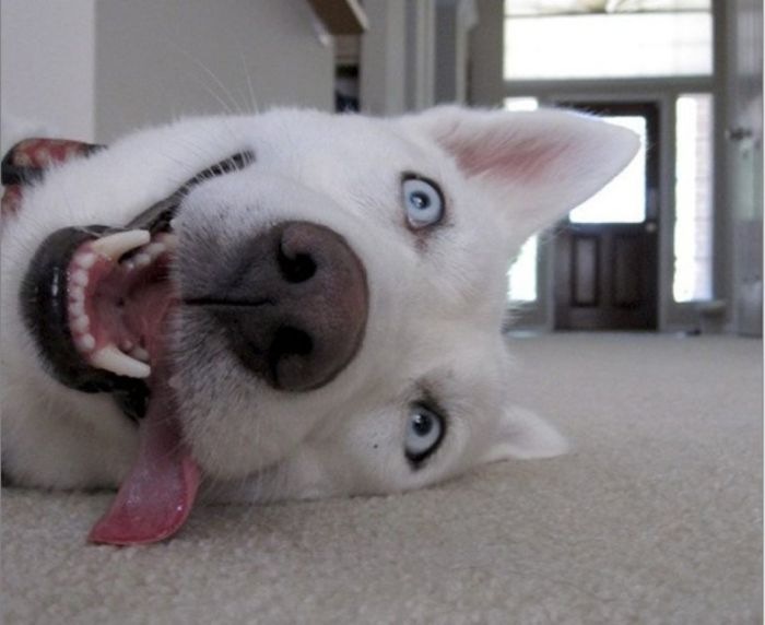 Александр Бычков фотография #47