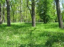Марія Нестерова фотография #9 (источник - https://vk.com/id116617223)