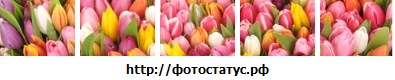 №12, Оля Малайчук, Брест, Беларусь №12, Оля Малайчук, Брест, Беларусь
