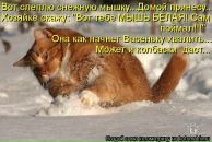 Фотография Волковой Алёны