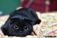 Фотография Котовой Марии