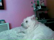 Фотография Volkov Dmitry