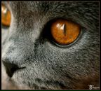 Фотография Медниковой Алины