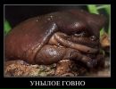 Фотография Соколовой Иры