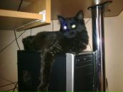 Мірослав Ротшильд фотография #33 (источник - https://vk.com/id22203091)