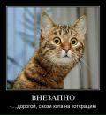 Роман Гаврилів фотография #49 (источник - https://vk.com/id146884538)
