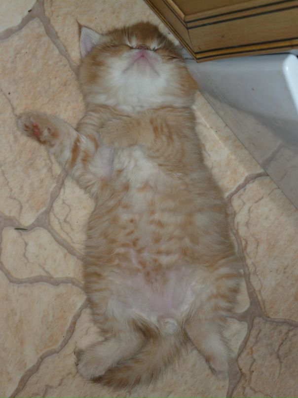 Денис Лабышкин фотография #7