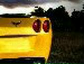 Владік Ненич фотография #28 (источник - https://vk.com/id95087318)