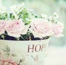 Сніжана Чорнобай фотография #2 (источник - https://vk.com/id167109957)