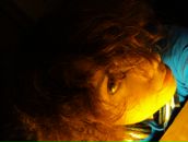 Фотография Забневой Елены