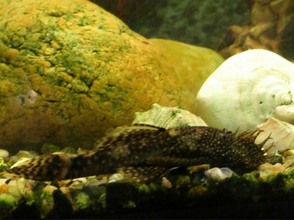 Иван Иванов фото №4