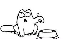 Віталік Гайдук фотография #33 (источник - https://vk.com/id79282268)