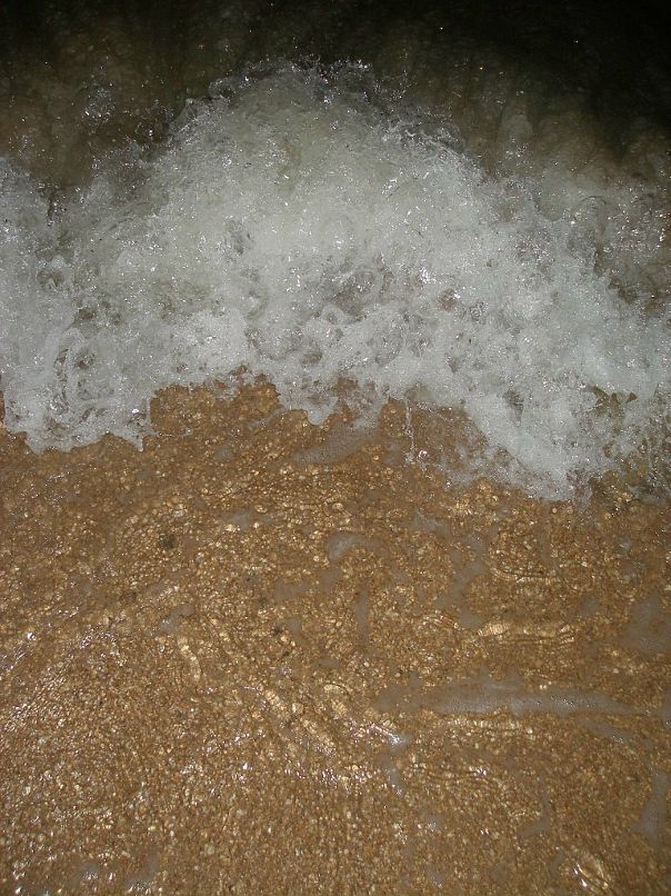 Дымчик Приходько фотография #49