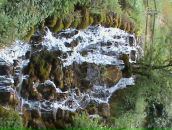 Андрій Сидій фотография #14 (источник - https://vk.com/id62387784)