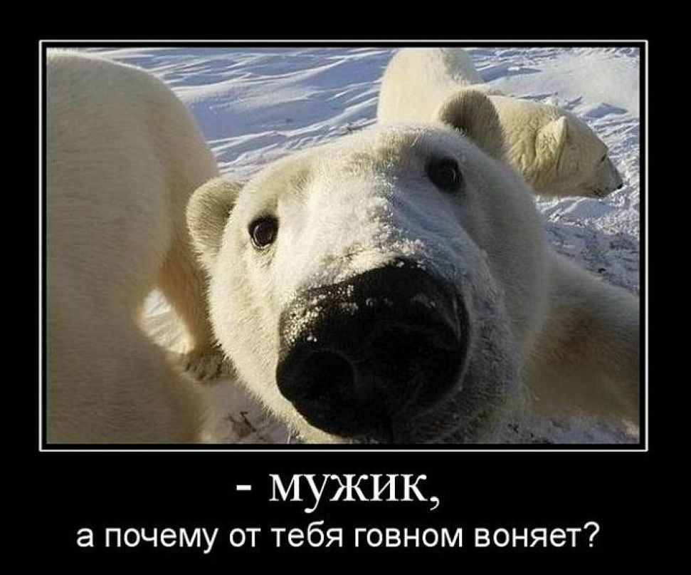 Станислав Сергеевич фотография #42