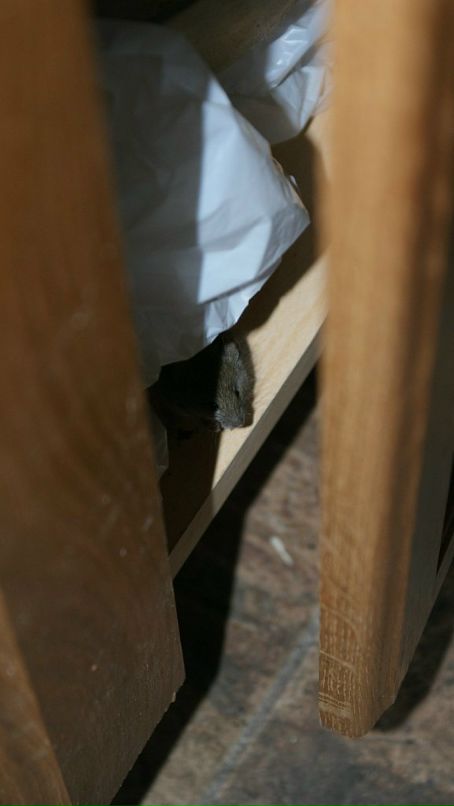 Konstantin Sdobnikov фотография #22