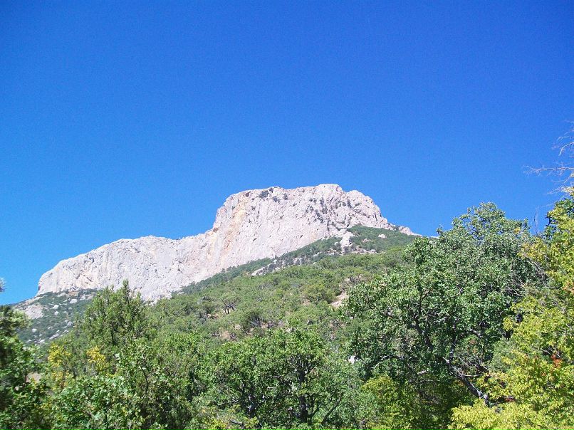 Дмитрий Воробьёв фотография #27