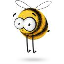 Фотография Pelliculosa Psilocybe