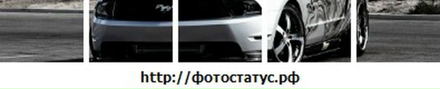 Міша Магулій фотография #13 (источник - https://vk.com/id58828328)