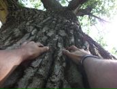 Фотография Иваничева Ивана