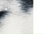 Александр Вацюк фотография #50 (источник - https://vk.com/id90889304)