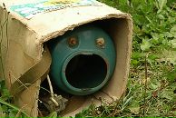 Фотография Всемирнова Константина