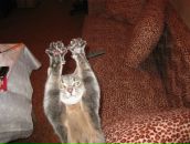 Фотография Рудакова Николая