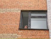 Фотография Письменникова Андрея