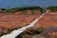 Иннокентий Сандюк фотография #36 (источник - https://vk.com/id39746)