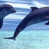 Софія Ізикевич фотография #35 (источник - https://vk.com/id145314142)