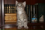 Фотография Фаткуллиной Анастасии