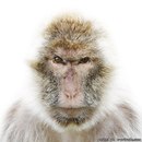 Фотография Панфилова Сергея