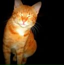 Фотография Линчева Евгения