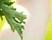 Валерия :) фотография #45 (источник - https://vk.com/id118985115)