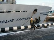 Фотография Зайцевой Анжелики