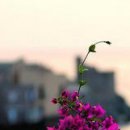 Κристина Μиронова фотография #44 (источник - https://vk.com/id154017682)