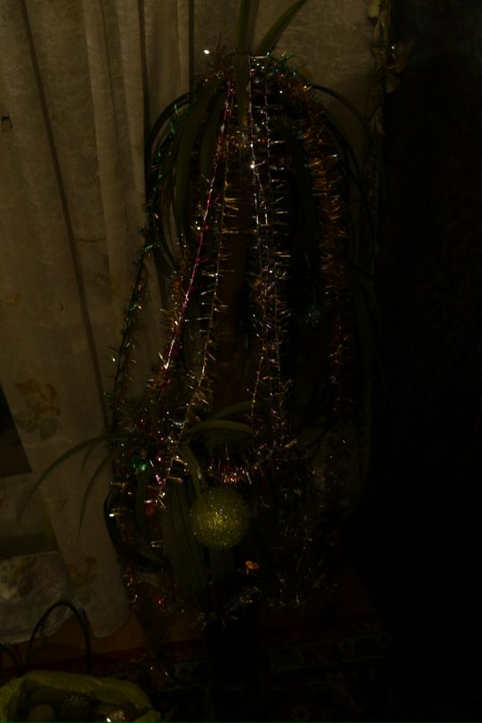 Corn B. фотография #38